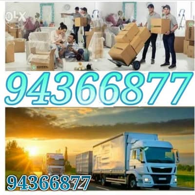 professional packers and movers. House moving furniture fixing 0